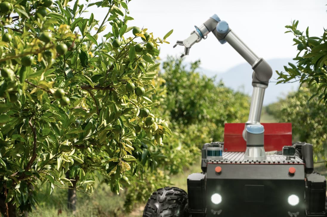 Exploring future opportunities for robotics and automation in UK agriculture