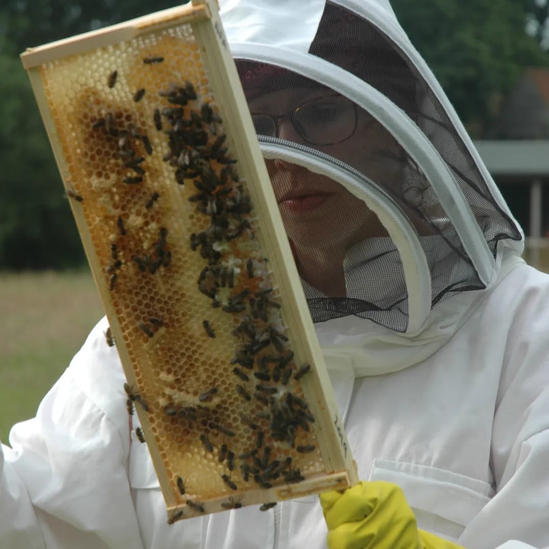 Hive-Five Beekeeping Equipment