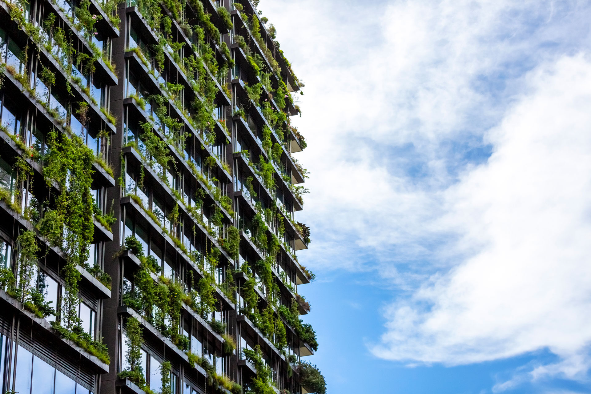 Acceptance of novel low environmental impact construction products
