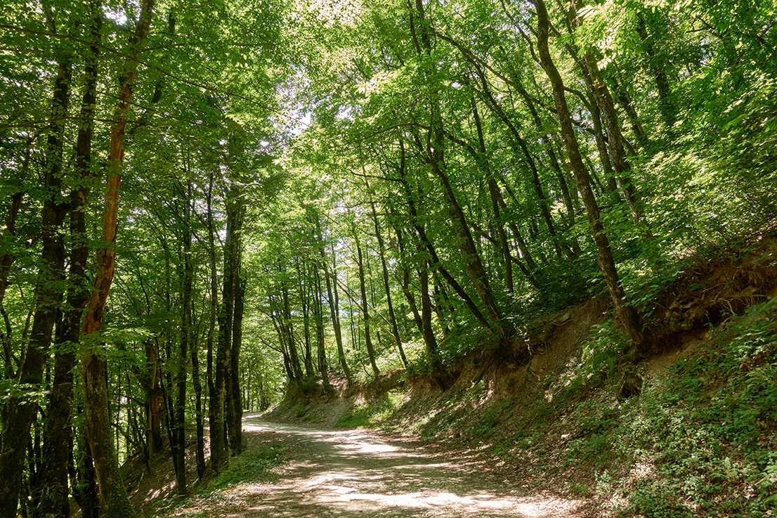 Horizon Europe 2026–27: Transformative change towards a nature-positive economy and society - funding opportunity