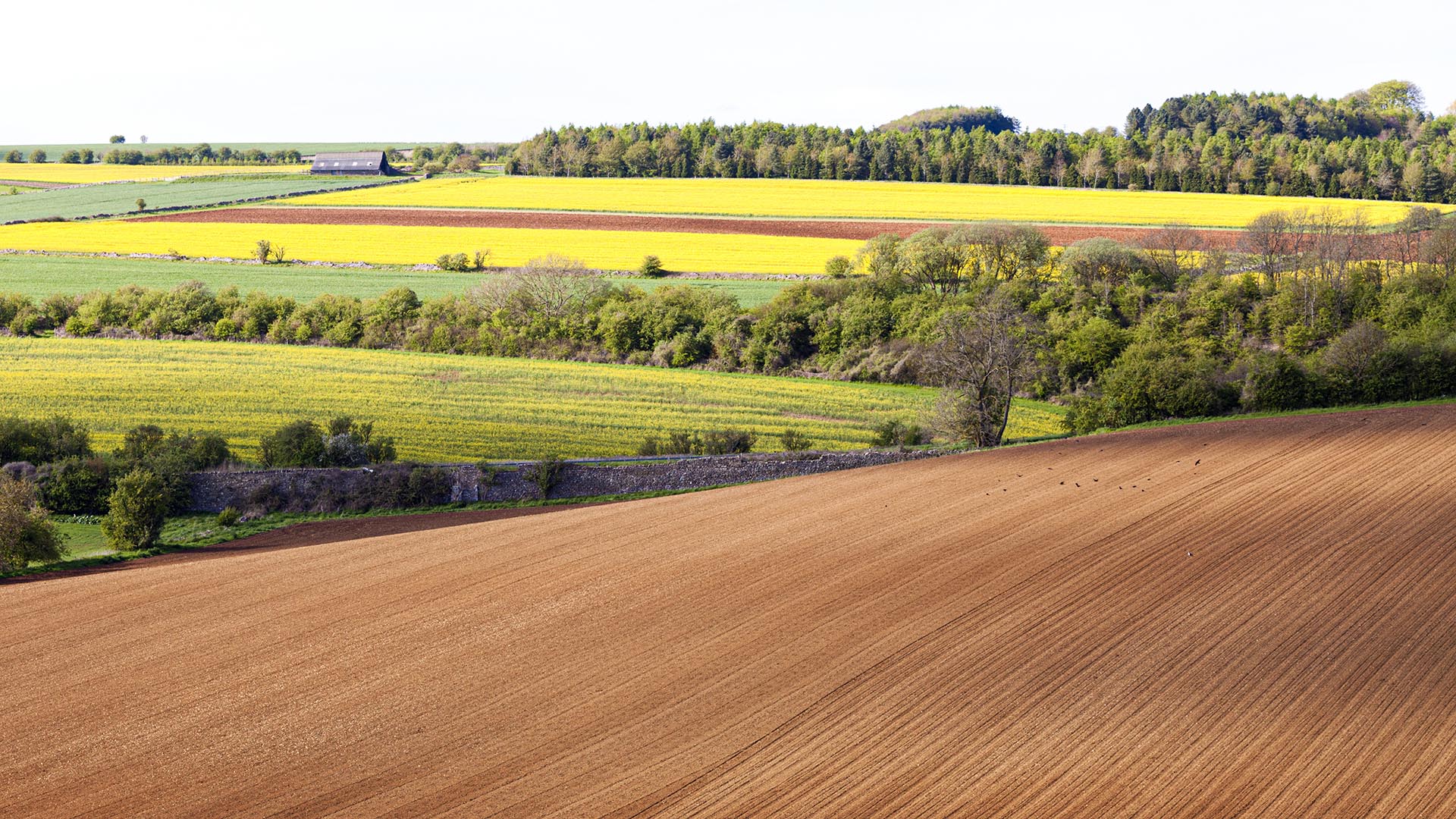 Farming Innovation Programme Farming Futures: Healthy soils and water for a sustainable environment consortium building
